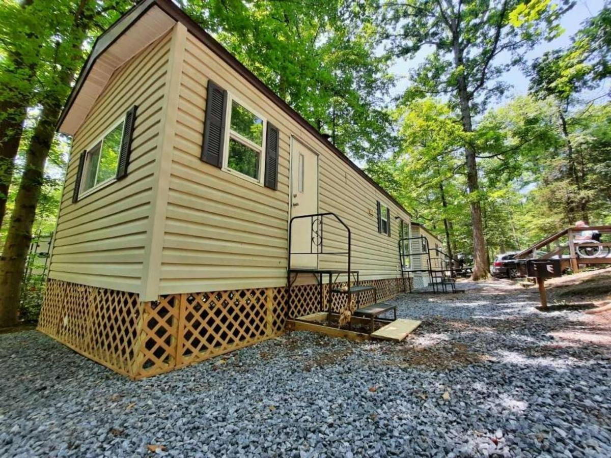 The Vintage Rv'S At Wilderness Presidential Camp Resort By Tripforth Spotsylvania Exterior foto